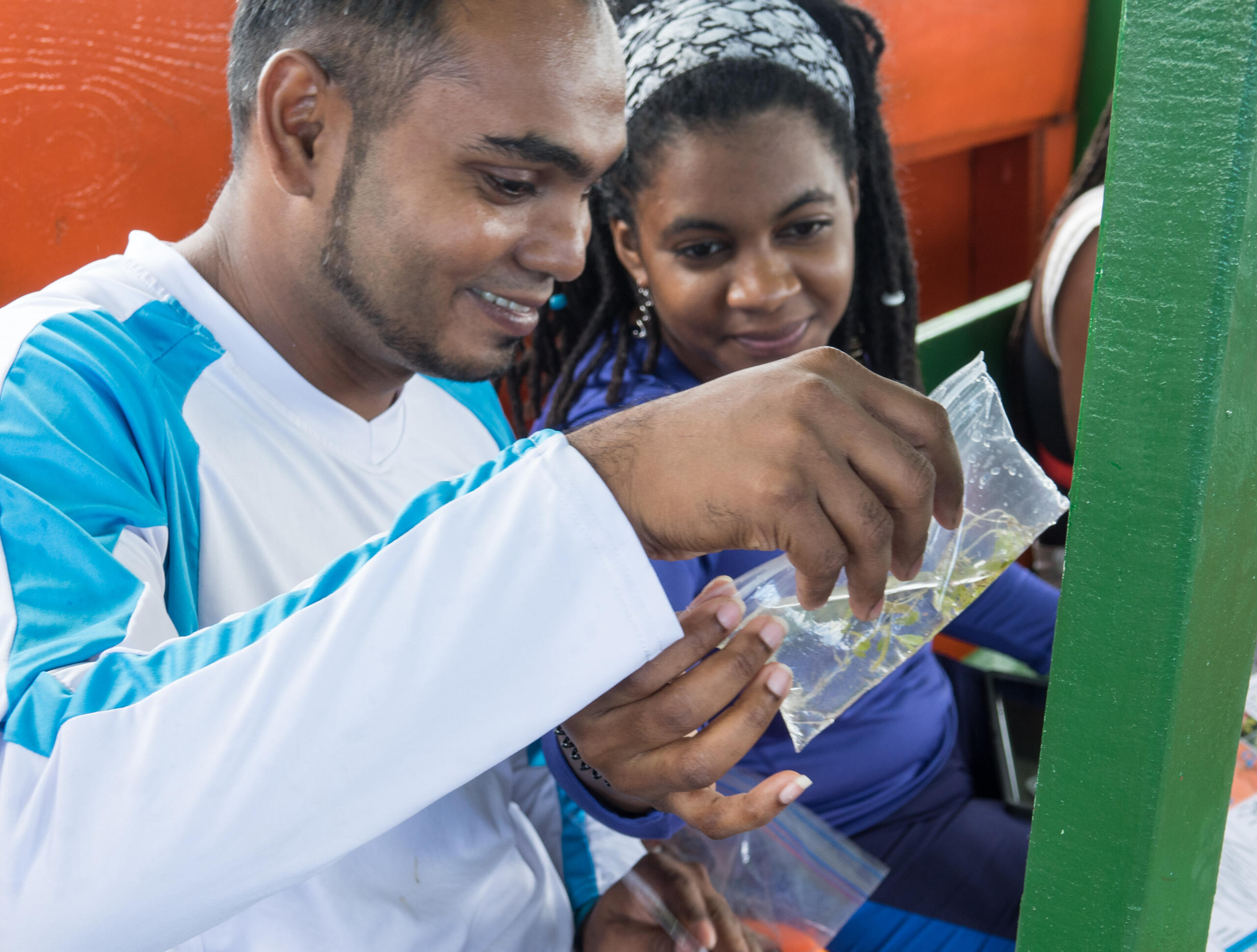Participants at the Buccoo seagrass training workshop inspecting a segrass specimen.